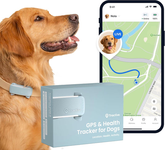Smart Dog Tracker | 2025 Edition | Real-Time GPS Tracking | Escape & Health Alerts | Vitals Monitoring | Market Leader (Mint)